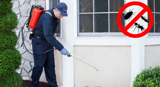 Çekmeköy Bit İlaçlama böcek ilaçlama ve haşere kontrolü — ilaclama-tr.com